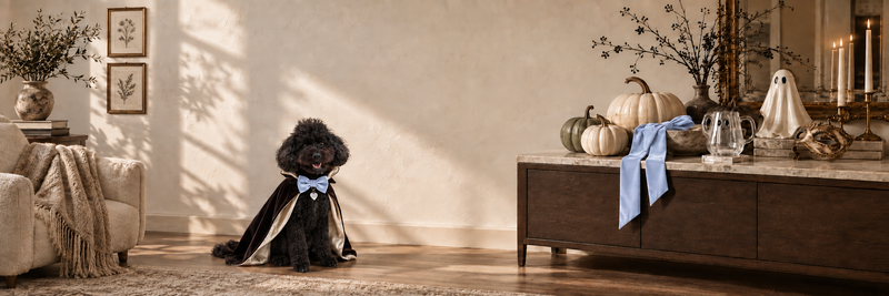Banksy in an elegant Halloween costume beside a refined neutral Halloween vignette