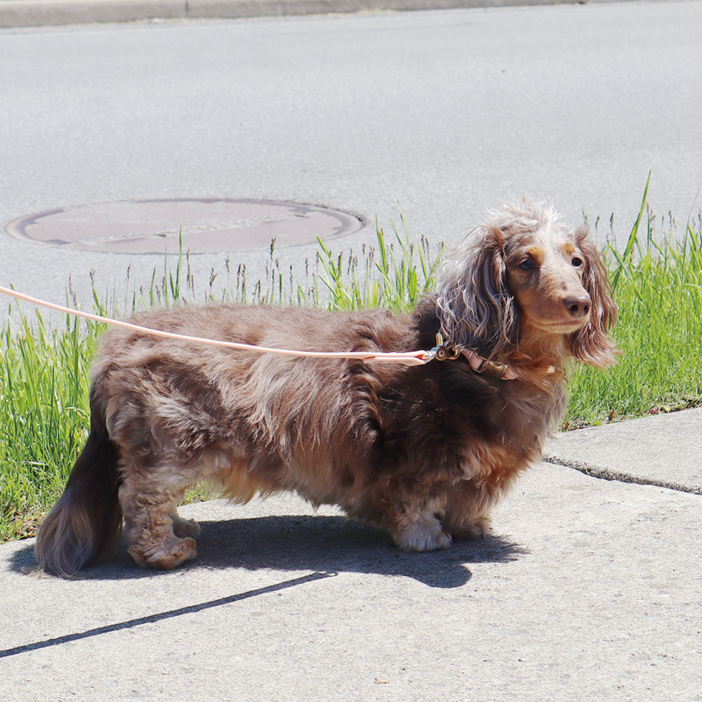 Pink Waterproof Dog Collar — product image 3