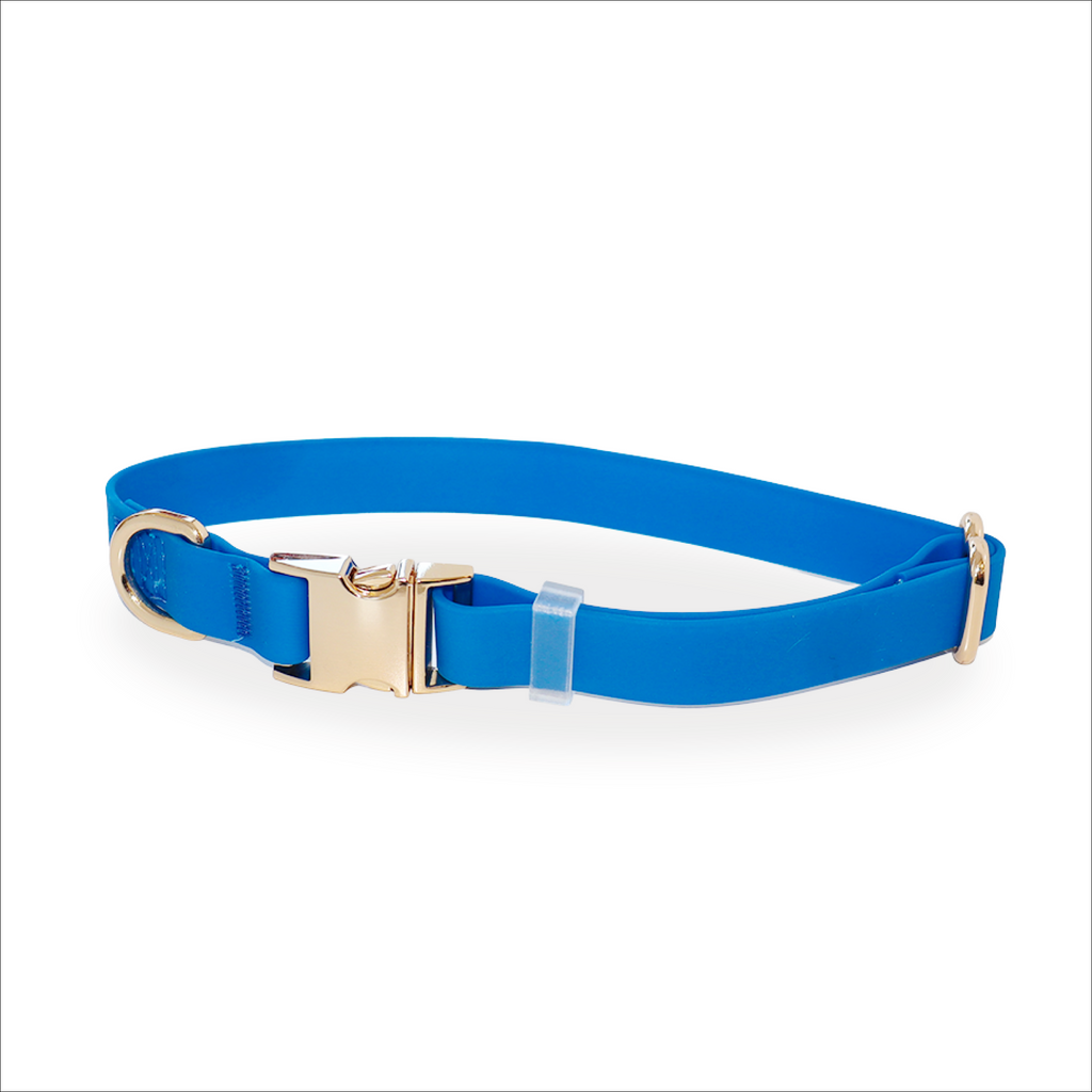 Blue Waterproof Dog Collar