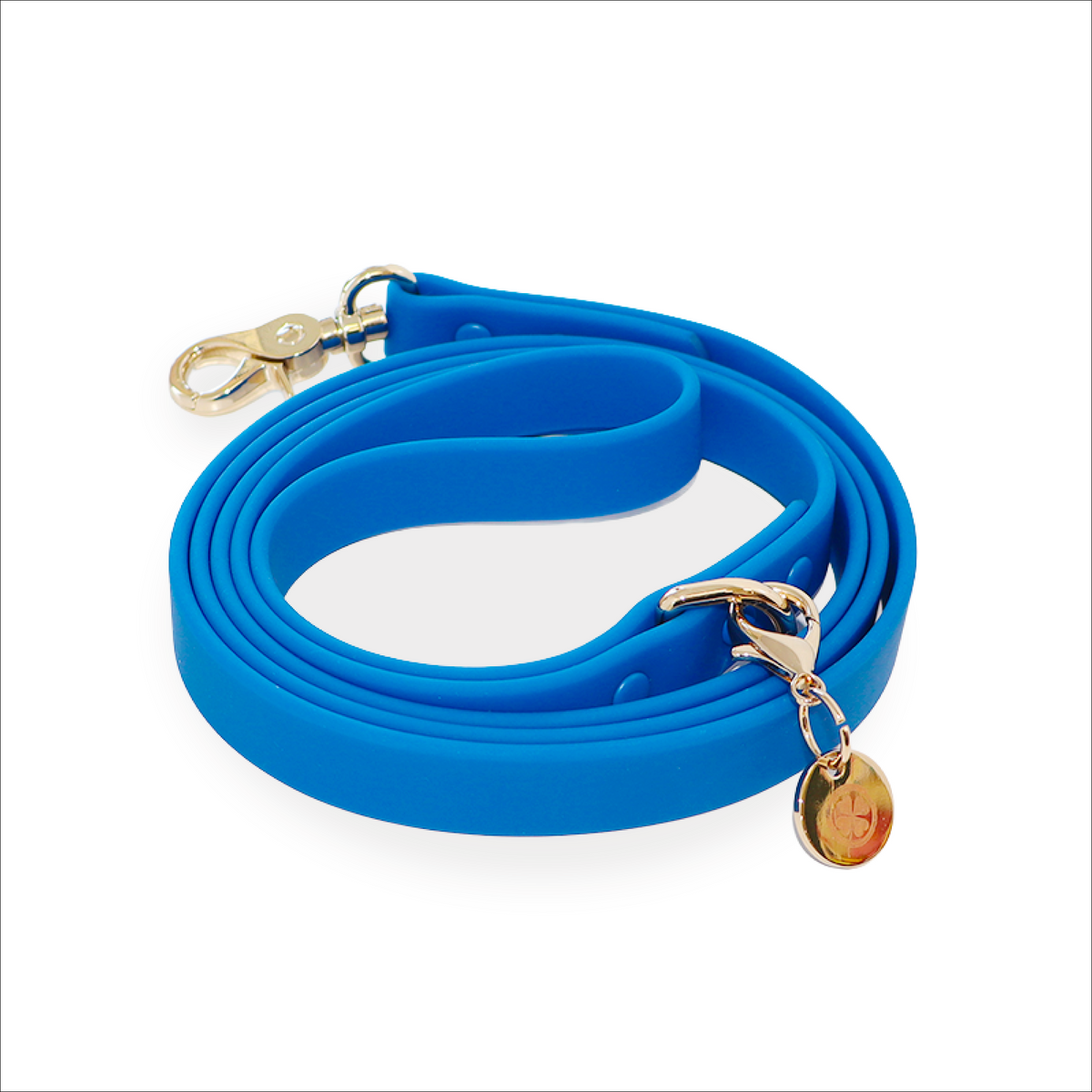 Blue Waterproof Dog Leash