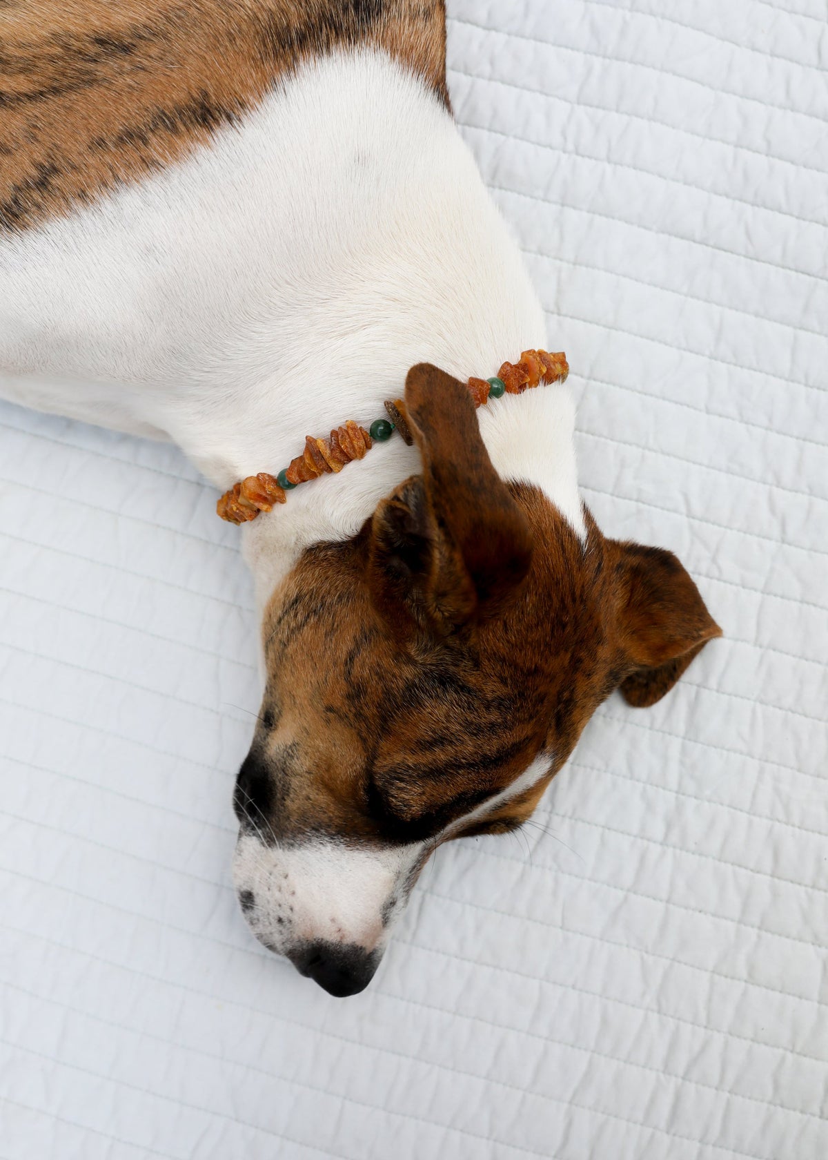 Baltic Amber + Green Jade Pet Necklace — product image 3