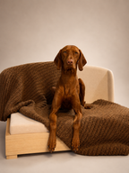 The Haven Solid Wood Dog Bed — product image 6