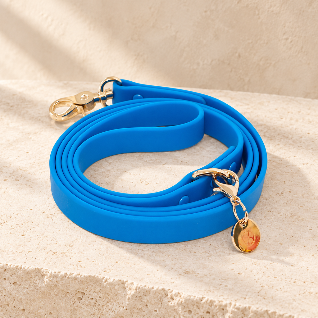 Blue Waterproof Dog Leash