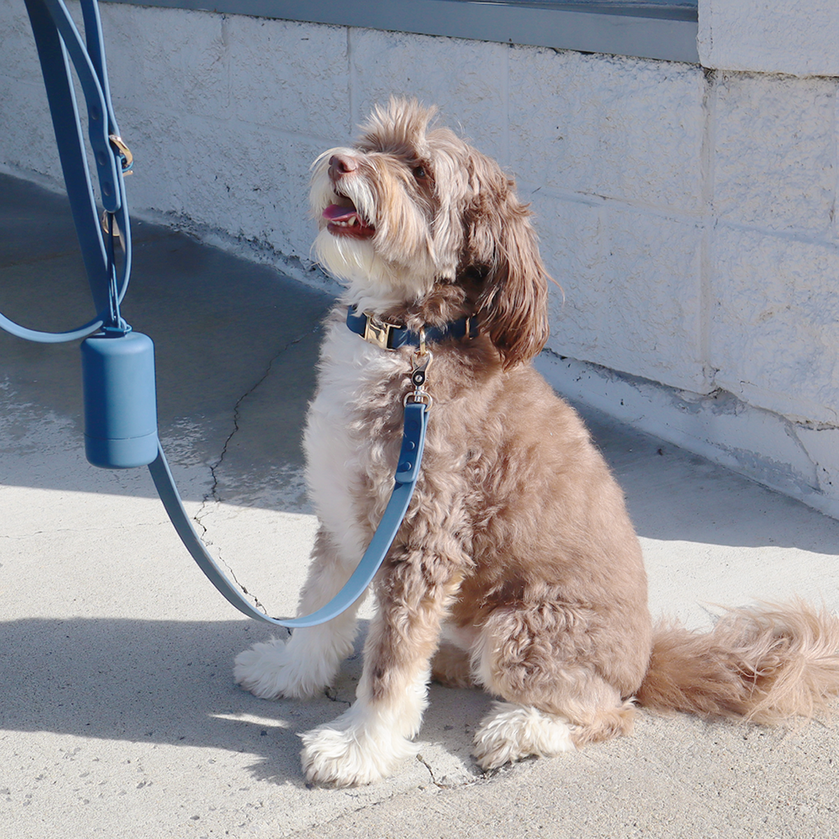 Pink Waterproof Dog Collar — product image 4